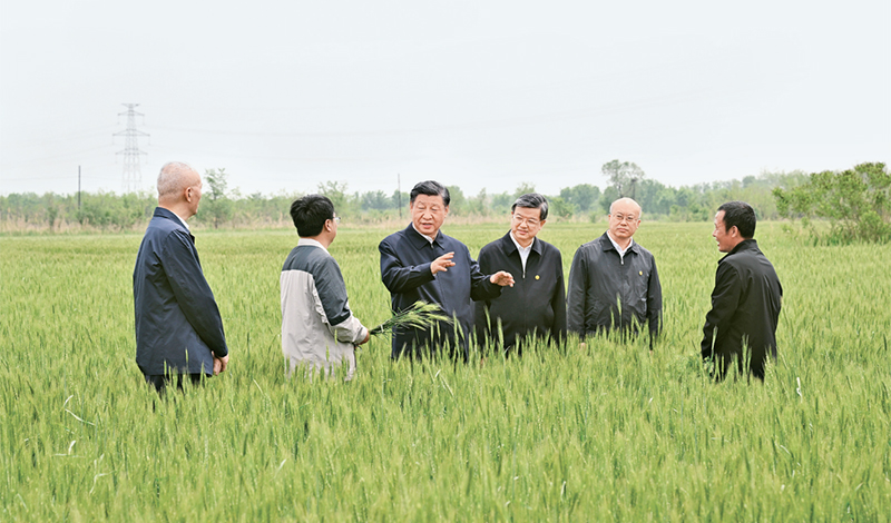 2023年5月11日至12日，中共中央總書記、國家主席、中央軍委主席習(xí)近平在河北考察，并主持召開深入推進京津冀協(xié)同發(fā)展座談會。這是11日上午，習(xí)近平在滄州市黃驊市舊城鎮(zhèn)仙莊片區(qū)旱堿地麥田考察時，同種植戶、農(nóng)技專家親切交流。 新華社記者 李學(xué)仁/攝